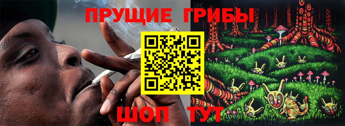 Псилоцибиновые грибы Cubensis Маркс